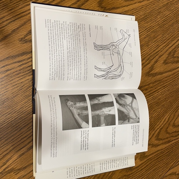 Horse Owner's Veterinary Handbook, Second Edition - Picture 3 of 4